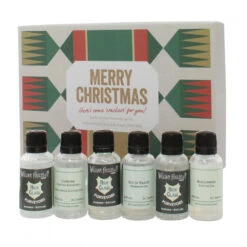 Christmas Crackers Gin Gift Set
