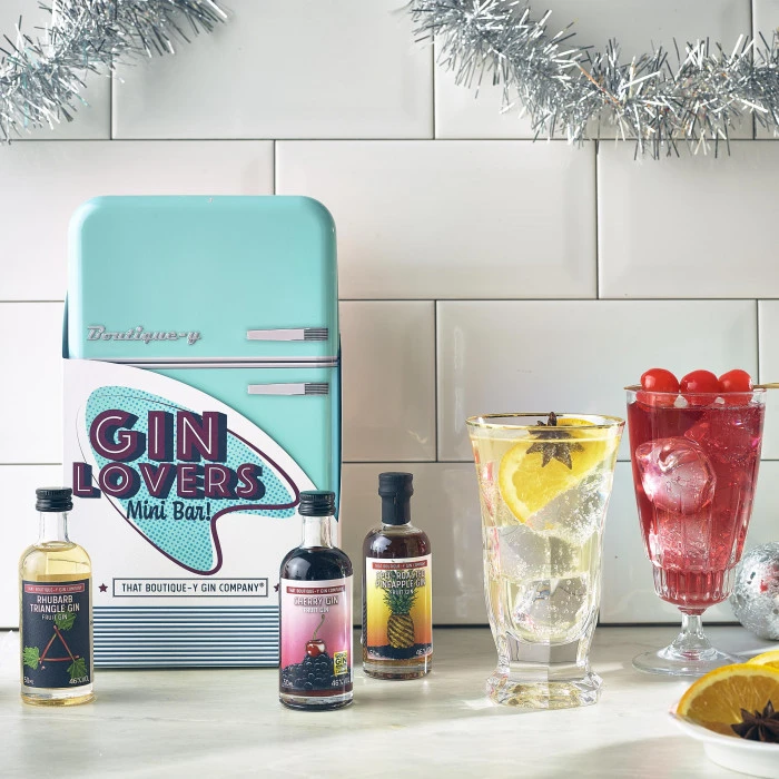 Retro Gin Fridge Pack - Image 4